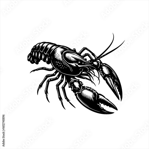 Detailed illustration of a lobster
