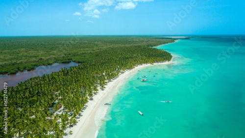 Obraz na plátne White Sand and Coconut Palms on Isla Saona, Caribbean Coastline