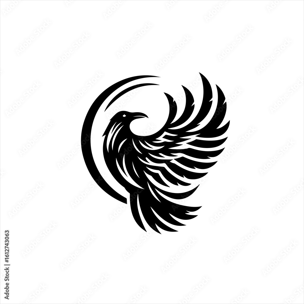 Obraz premium Eagle with wings in flight