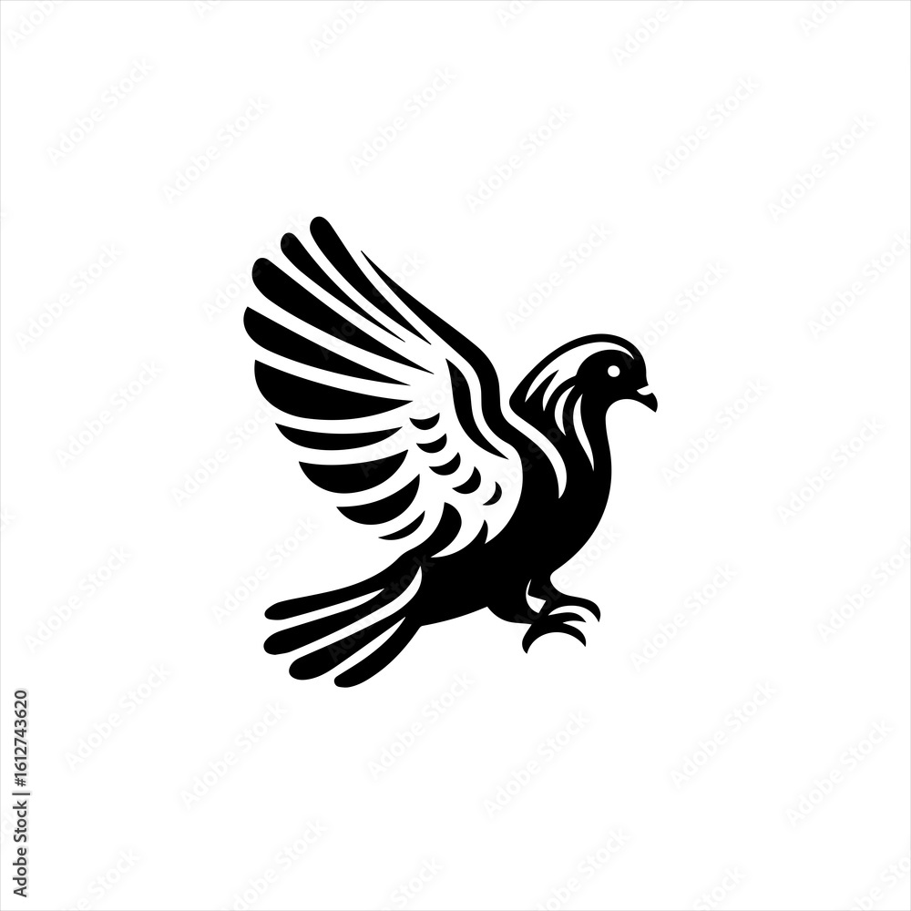 Obraz premium Dove illustration isolated on white