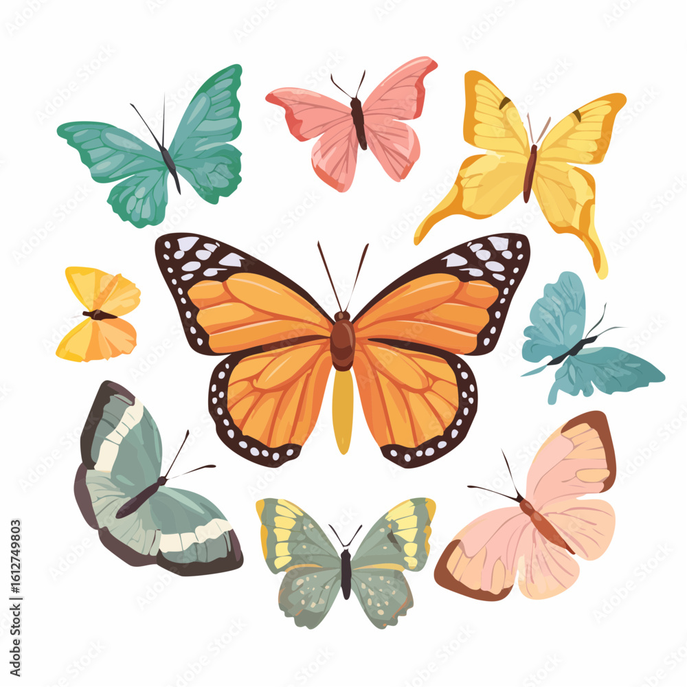 Obraz premium Vibrant Butterfly Collection: An Array of Colorful and Delicate Winged Insects on Display