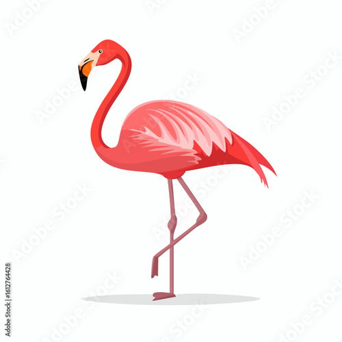 Elegant Flamingo Illustration with Graceful Posture and Vibrant Pink Plumage Displayed