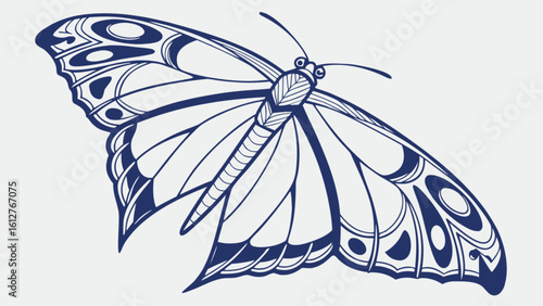 Beautiful butterfly vector illustration with intricate details perfect for graphic design projects and crafts