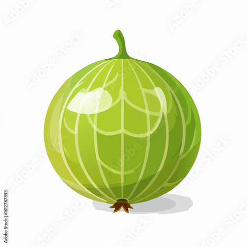 Detailed illustration of a fresh green gooseberry with light reflections and shadows