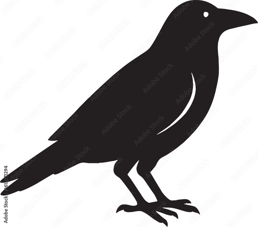 Fototapeta premium A Solitary Crow Silhouette Standing Tall Bird Represents Themes of Mystery and Intelligent Wildlife Symbolism