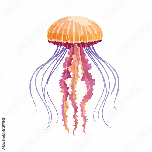Colorful jellyfish illustration isolated on white background depicting underwater ocean life