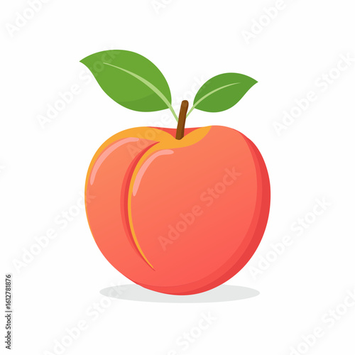 Vibrant peach illustration on white backdrop showcases freshness and simplicity