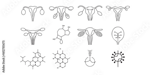 A collection of uterus diagrams and chemical structures in black and white line drawings on a white background