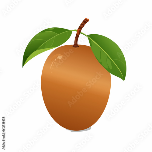 A Vibrant Illustration of a Sapodilla Fruit with Fresh Green Leaves and Stem Detail