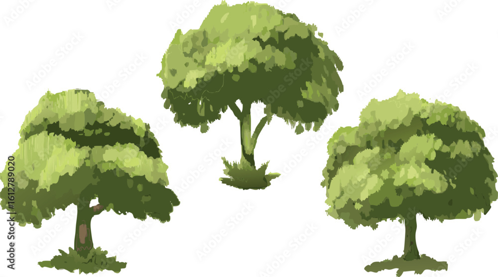 © Akash Mondal - Green deciduous tree with lush foliage isolated on a white background, perfect for nature and ecological designs © Akash Mondal - Green deciduous tree with lush foliage isolated on a white background, perfect for nature and ecological designs