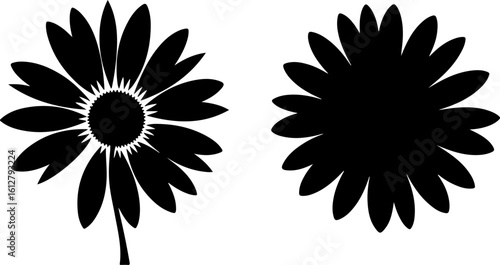 "Silhouette of a Daisy Flower" art vector