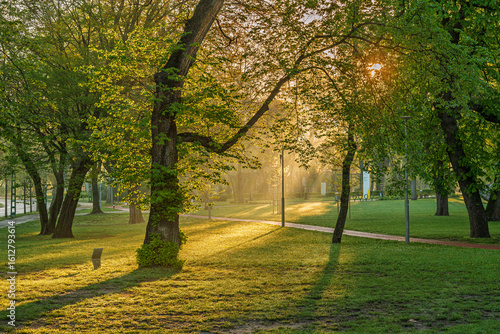 Spring moments in City park of Budapest. Hungarian name is Varosliget. Amazing sunny day with bright lights. The branches of trees are green because many leaves are growing on it.
