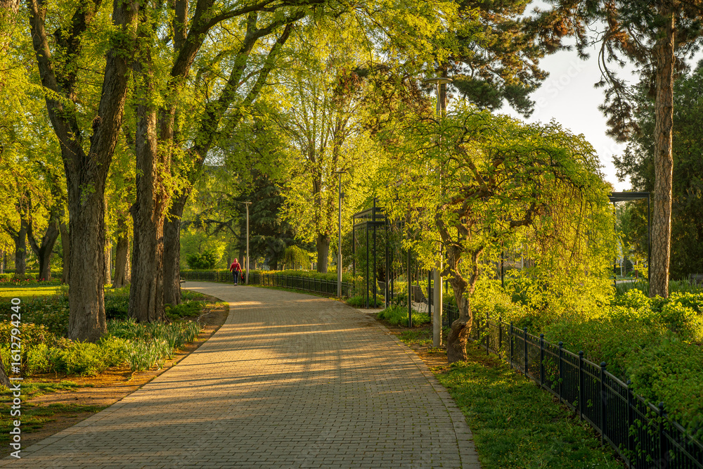 Naklejka premium Spring moments in City park of Budapest. Hungarian name is Varosliget. Amazing sunny day with bright lights. The branches of trees are green because many leaves are growing on it.