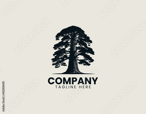 Distinctive black silhouette of a gracefully curved pine tree with stylized foliage. Nature illustration concept