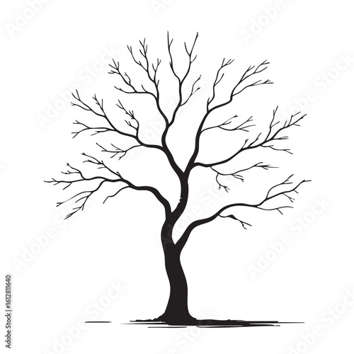 Black and white illustration of a bare tree with intricate branches vector