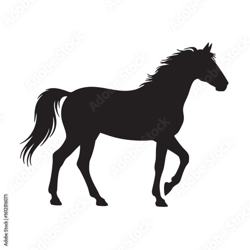Black silhouette of a horse in motion on a white background vector