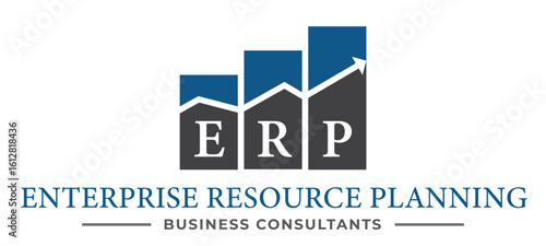 Enterprise Resource Planning (ERP) Business Consultant