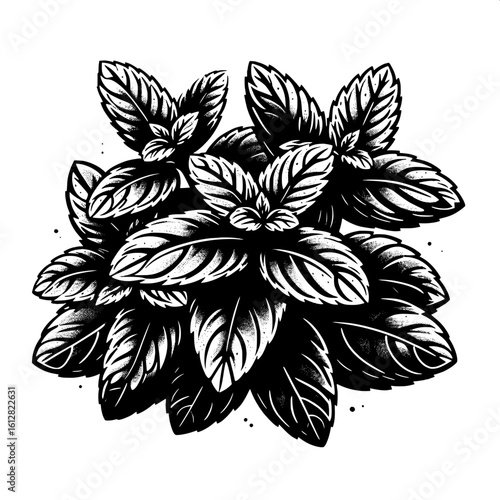 Mint Leaf Cluster SVG | Fresh Herbal Silhouette for Tea & Food Design