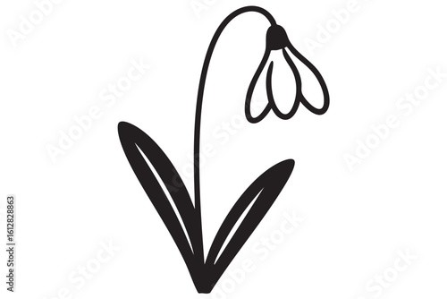 Minimalist black and white line drawing of a snowdrop flower plant botanical
