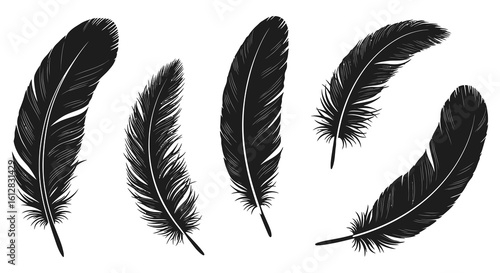 Black and white feather illustration pattern on a white background