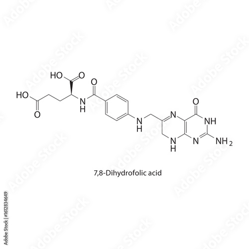 7,8-Dihydrofolic acid skeletal structure. Folate Derivative compound schematic illustration. Simple diagram, chemical formula.