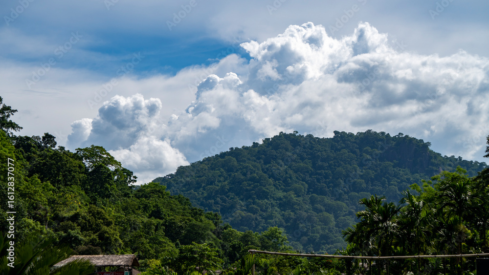 Obraz premium Forest canopy with hills blue sky and beautiful cloudscape of Assam 1