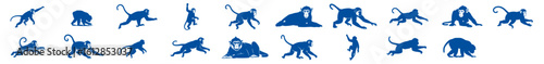 blue monkey silhouettes isolated