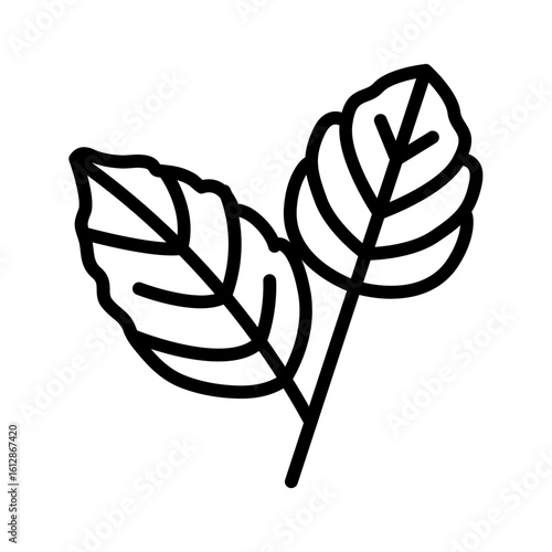 Spearmint icon vector image. Can be used for Fruits and Vegetables.