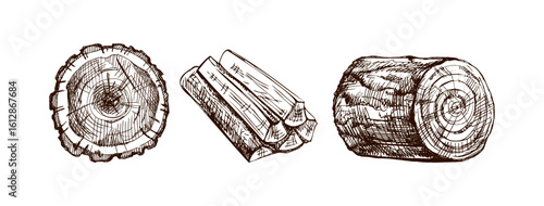 Hand drawn vintage sketch of firewood, stump and log in brown ink engraving style, isolated vector illustration