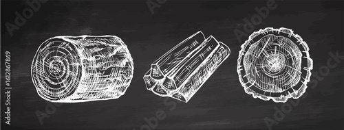 Hand drawn vintage sketch of three types of wooden logs and firewood in chalk style on chalkboard background