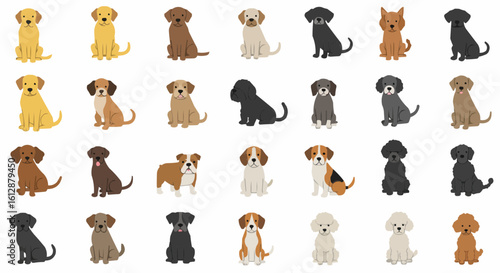 Diverse array of adorable dog breeds in various colors, seated and presented in a grid layout.