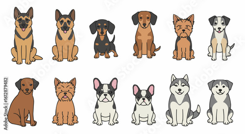 Diverse and cute dog illustrations. 