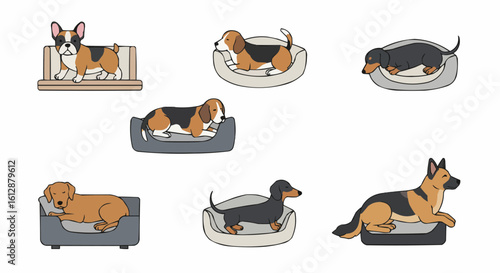 Adorable dogs of various breeds relaxing in their cozy beds.