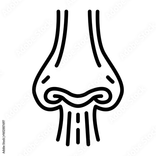 Nasal Cavity icon vector image. Can be used for Human Anatomy.