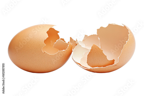 Broken eggshell halves isolated on transparent background. Empty broken egg shell isolated on white background.