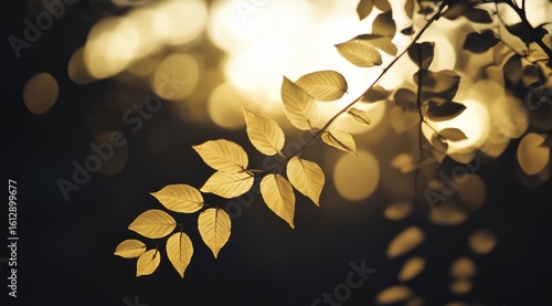 Golden leaves backlit by sunlight
