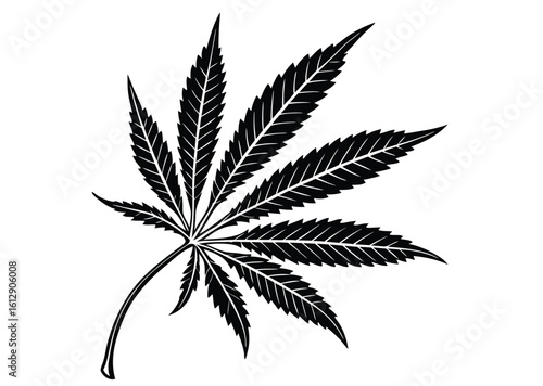 marijuana cannabis leaf icon vector, marijuana cannabis leaf silhouette vector Illustration
