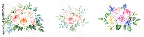 Floral arrangements with roses and leaves in elegant design. Isolated transparent background