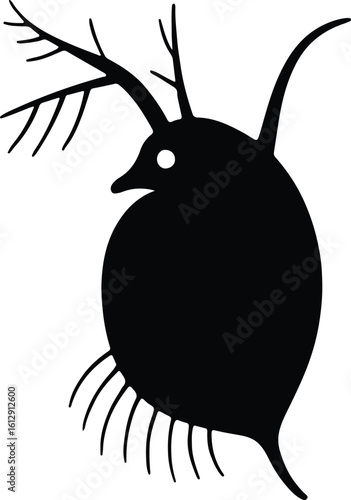 Silhouette Daphnia stylized minimalistic microorganism zooplankton vector illustrator
