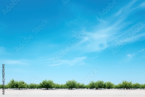 Wallpaper Mural Lush green trees line a serene landscape under a bright blue sky, creating a peaceful and tranquil atmosphere in nature's beauty Torontodigital.ca