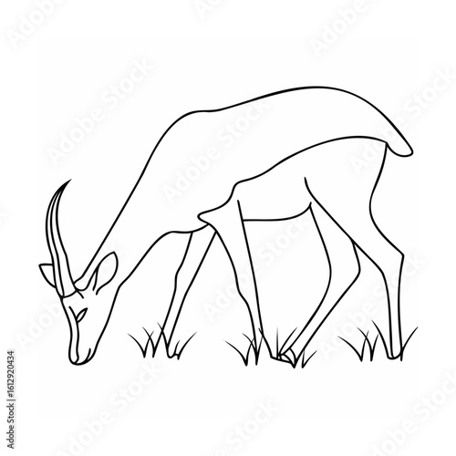 Gazelle grazing on grassy field antelope animal