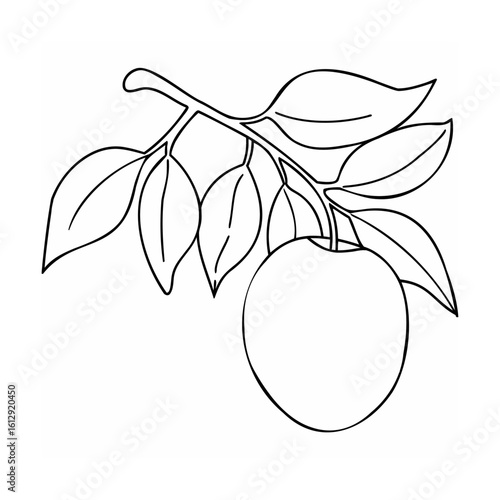 Single ripe fruit on a leafy branch leaves nature