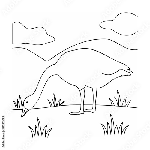 Goose grazing in grassy landscape bird animal