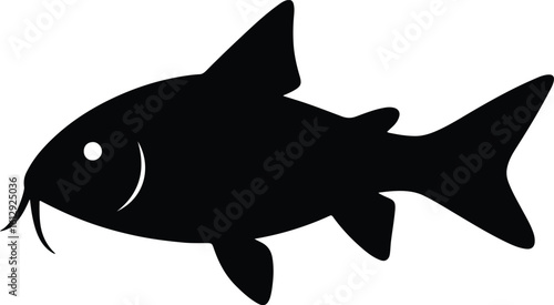 Silhouette catfish swimming wildlife animal design vector illustrator