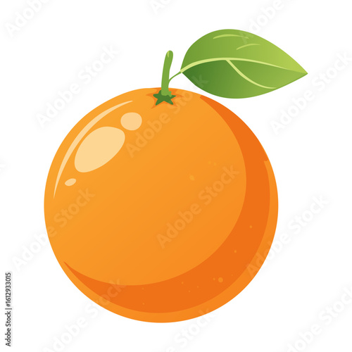 orange fruit vector illustration