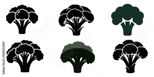 Broccoli vegetable silhouette icon, vector illustration, Broccoli icon black silhouette vector,Broccoli black vector, Minimalist silhouette illustration of a broccoli floret on white background
