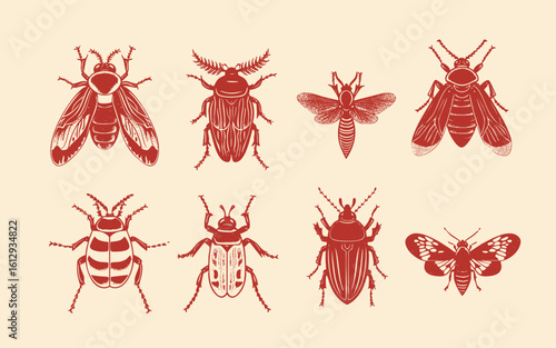 big set of insects bugs beetles and bees
