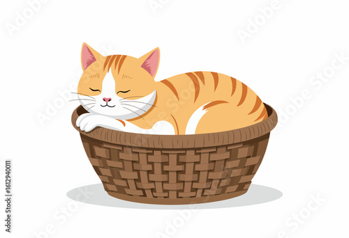 Orange cat sleeping in a woven basket on a white background  