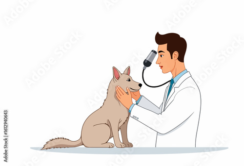 Veterinarian examining dog with otoscope in clinic setting  