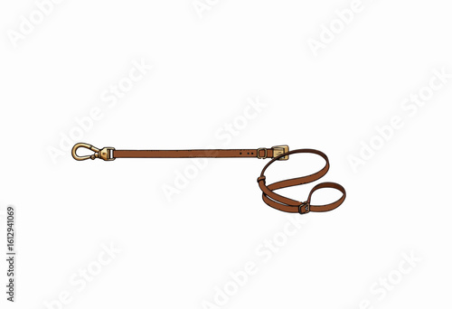 Brown leather dog leash with gold clasp for walking pets  